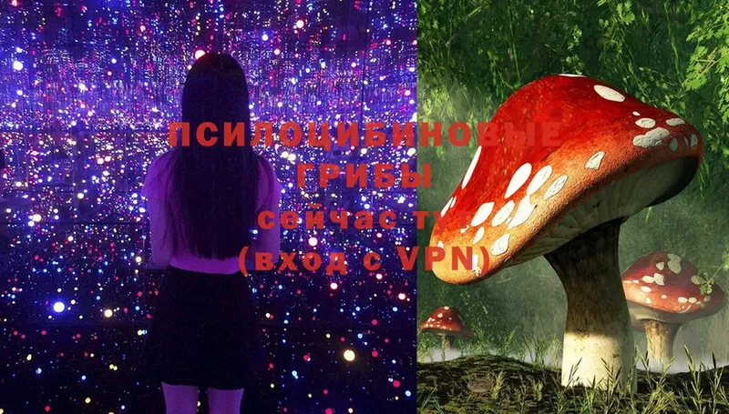 Псилоцибиновые грибы Magic Shrooms  магазин    Солигалич 