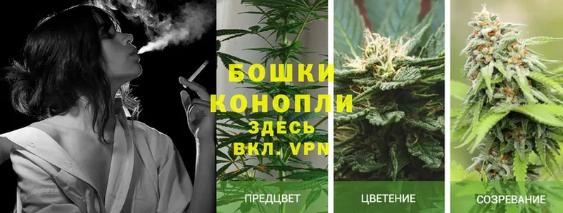 что такое наркотик  mega зеркало  Марихуана THC 21%  Солигалич 